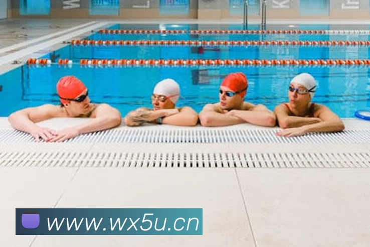 米兰网官网登录入口平台生态图